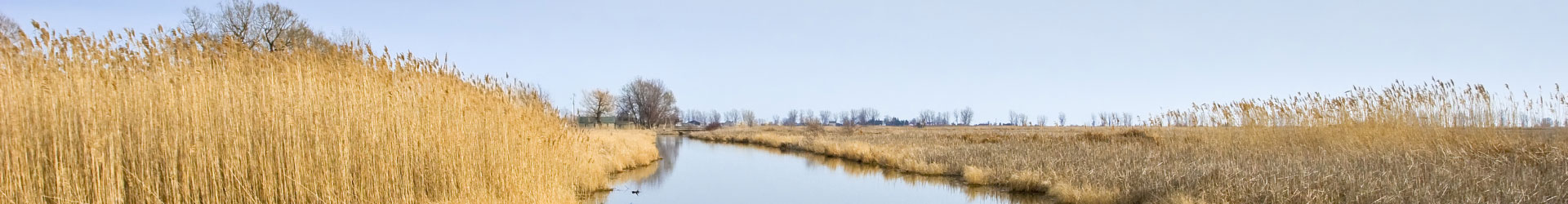 Long Point Capital News