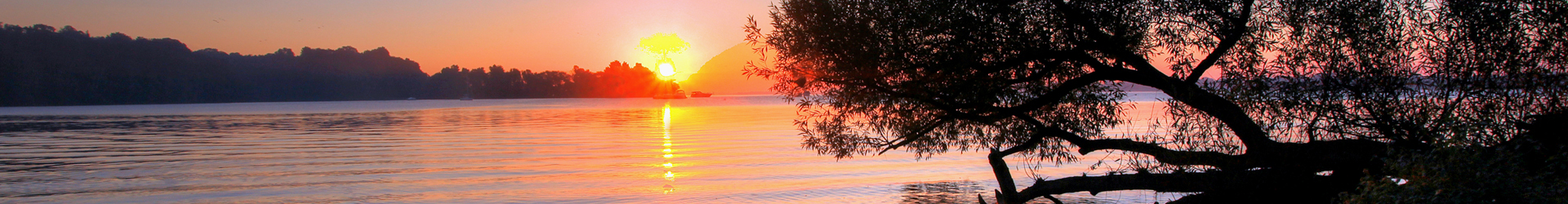 Long Point Capital Portfolio